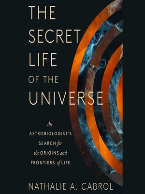 cover image of The Secret Life of the Universe